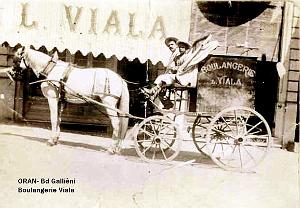 Oran- SDV- 1466-Viala- Bd Gallieni